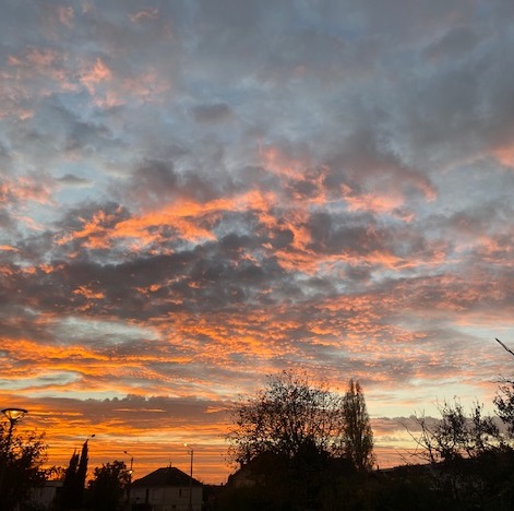 Photosgcregards03 Quelle couleur choisir pour l' avenir des socialistes? des Socialistesdes socialistes 