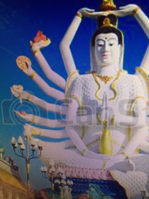 les bras droits de shiva sans bras gauches 